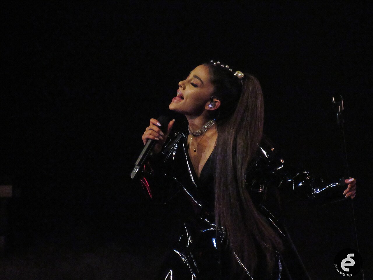 Ariana Grande — vegan lifestyle